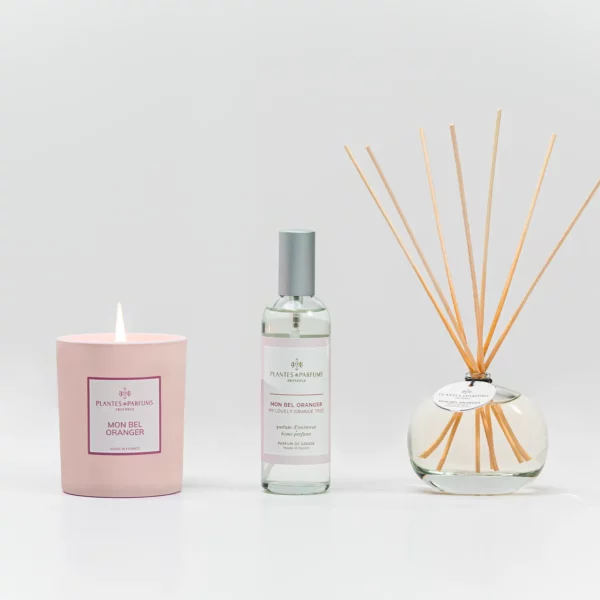 Home Fragrances - Plants And Fragrances
