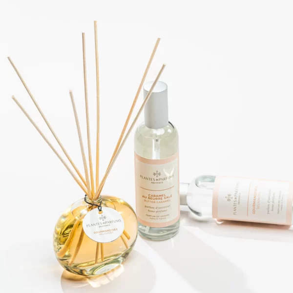 Bouquets Parfumés-Diffuseurs - Plants And Fragrances