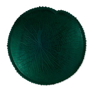 Feuille Amazonienne Set De Table - Vert Amazonia