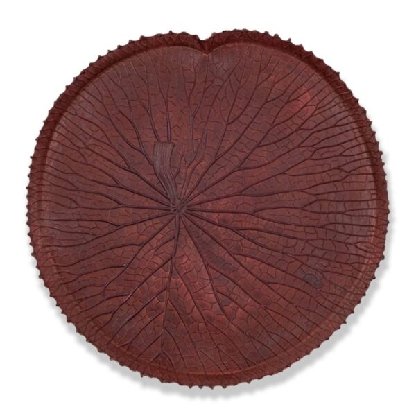 Feuille Amazonienne Set De Table - Bordo