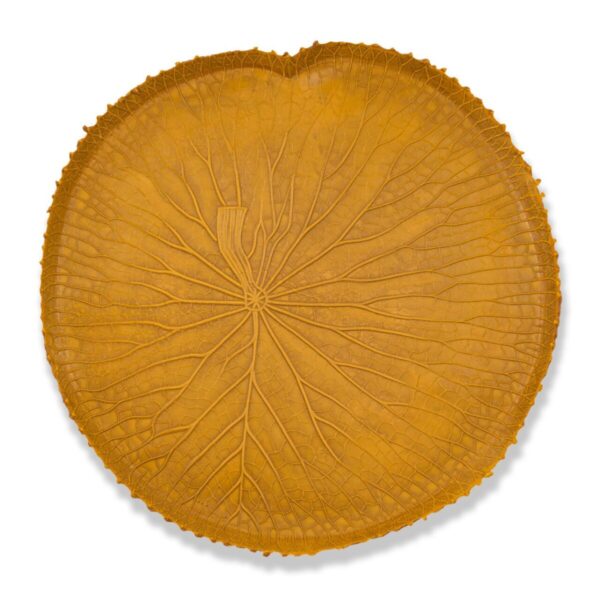 Feuille Amazonienne Set De Table - Ocre