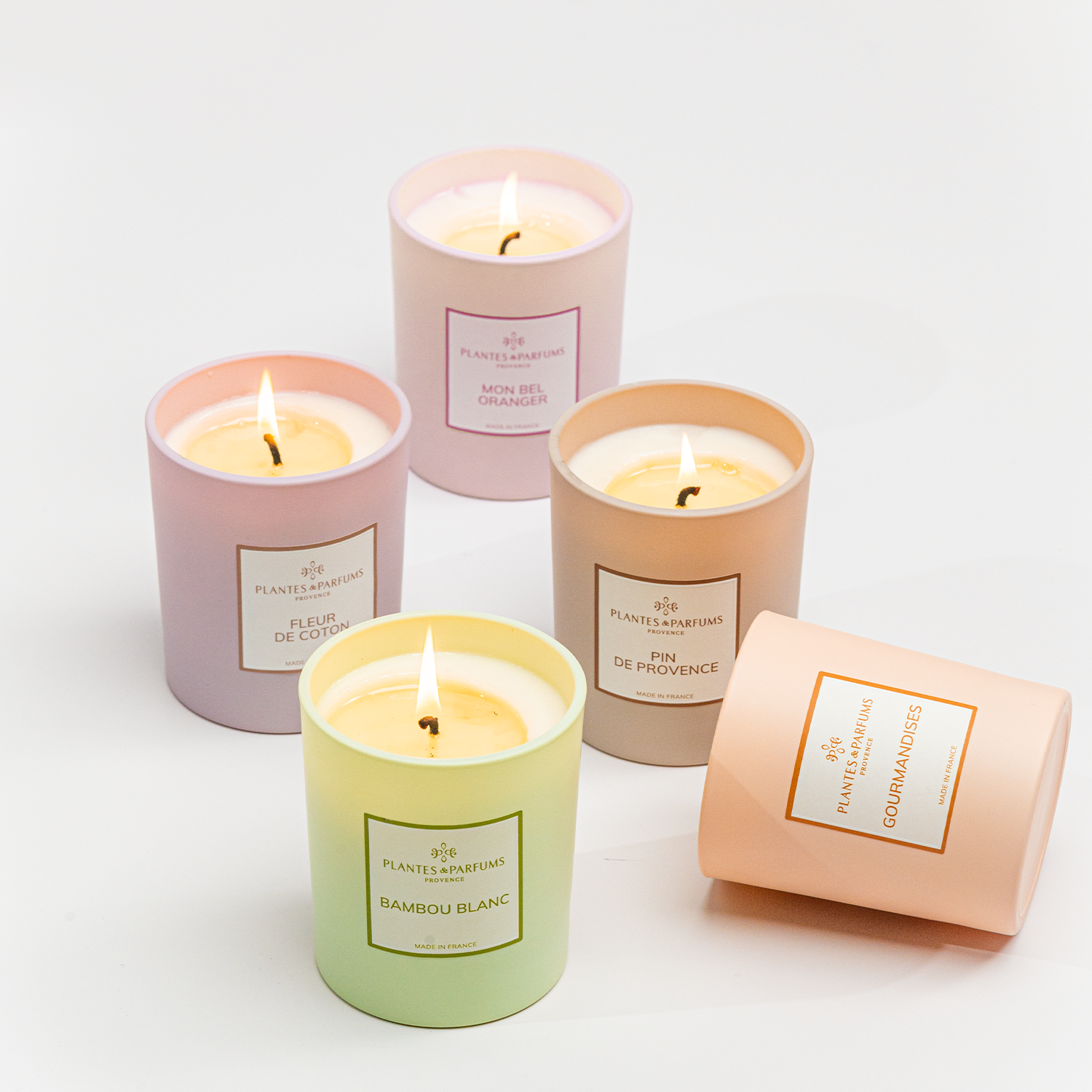 Ensemble de bougies parfumées Plantes & Parfums aux couleurs pastel, posées sur fond blanc, avec flammes allumées.