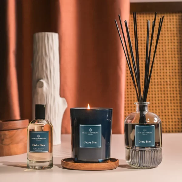 Bougie Parfumé 420g 100% Cire Végétale - Plantes et parfums