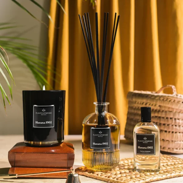 Bougie parfumé cire végétale