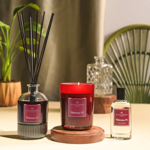 Bougie Parfumé 420g 100% Cire Végétale - Plantes et parfums