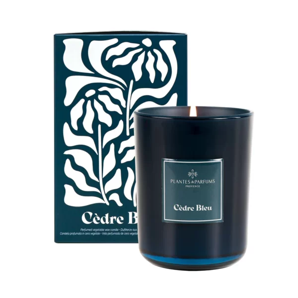 Bougie Parfumé 420g 100% Cire Végétale - Plantes et parfums