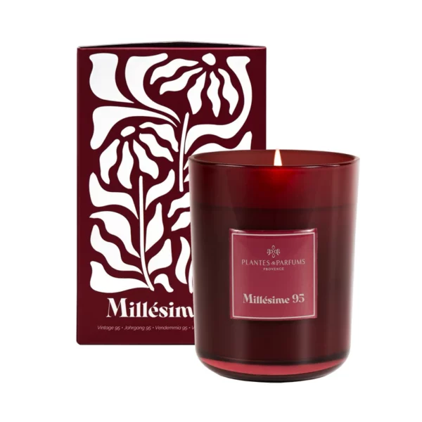 Bougie Parfumé 420g 100% Cire Végétale - Plantes et parfums