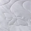 Couette légère  100% soie  "Brun de Vian-Tiran"