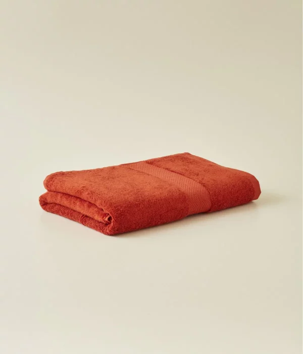 Eponge colorie Terre cuite- coton