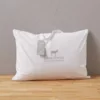 Oreiller en duvet et plumettes moelleux  " Sylvie thiriez"